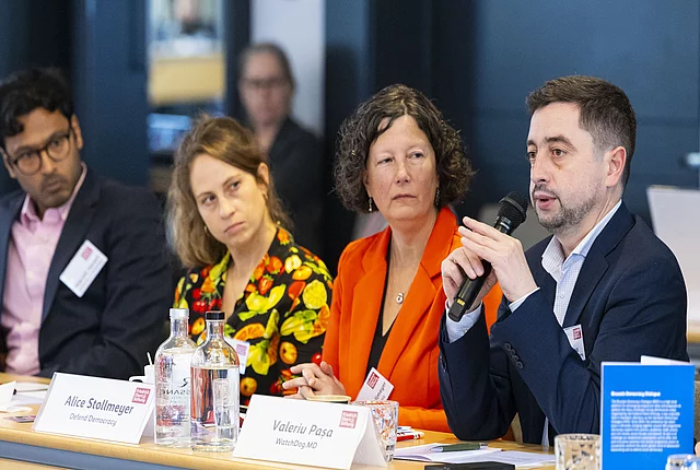 BDD25: Speakers in panel session 3.