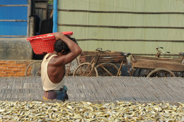 Workers dry fish processing in Chittagong, the process involves removing water from fish through evaporation, such as by sun drying, smoking, or air drying. The dry fish It is exported to the Middle East and Europe.