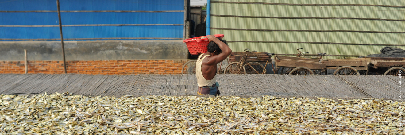 Workers dry fish processing in Chittagong, the process involves removing water from fish through evaporation, such as by sun drying, smoking, or air drying. The dry fish It is exported to the Middle East and Europe.
