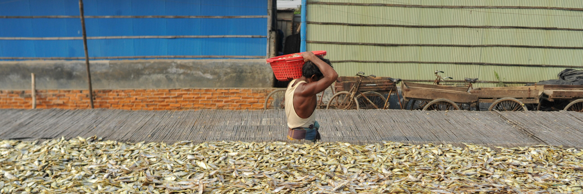 Workers dry fish processing in Chittagong, the process involves removing water from fish through evaporation, such as by sun drying, smoking, or air drying. The dry fish It is exported to the Middle East and Europe.