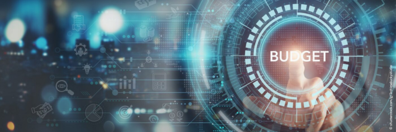 An abstract image of an index finger pressing a "budget" button.