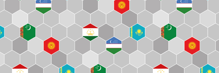 Abstract honeycomb structure with flags from Central Asian countries.