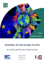Regional actor, global player